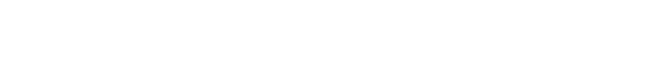 Naughty America logo